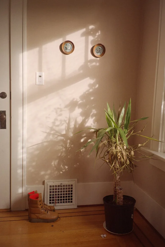 A photograph by Ali Bosworth in the selection Spring 2008