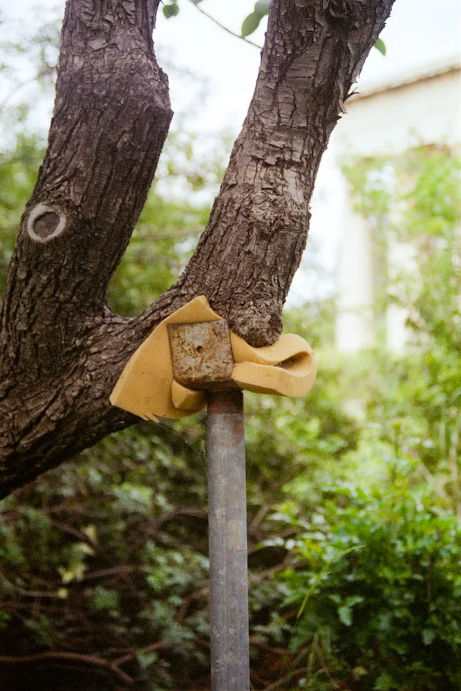 A photograph by Ali Bosworth in the selection Athens