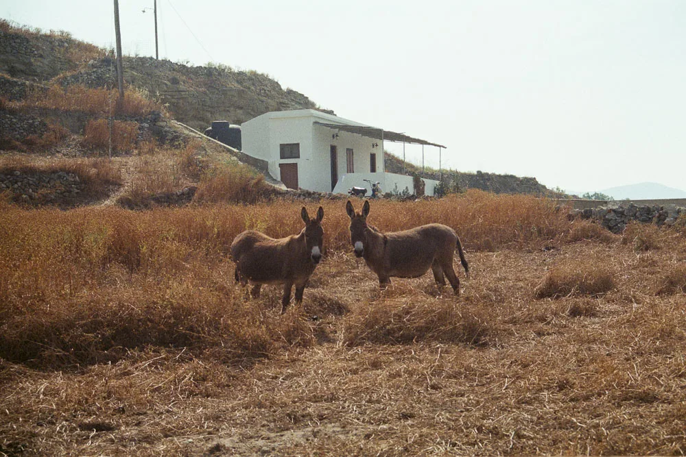 A photograph by Ali Bosworth in the selection Milos