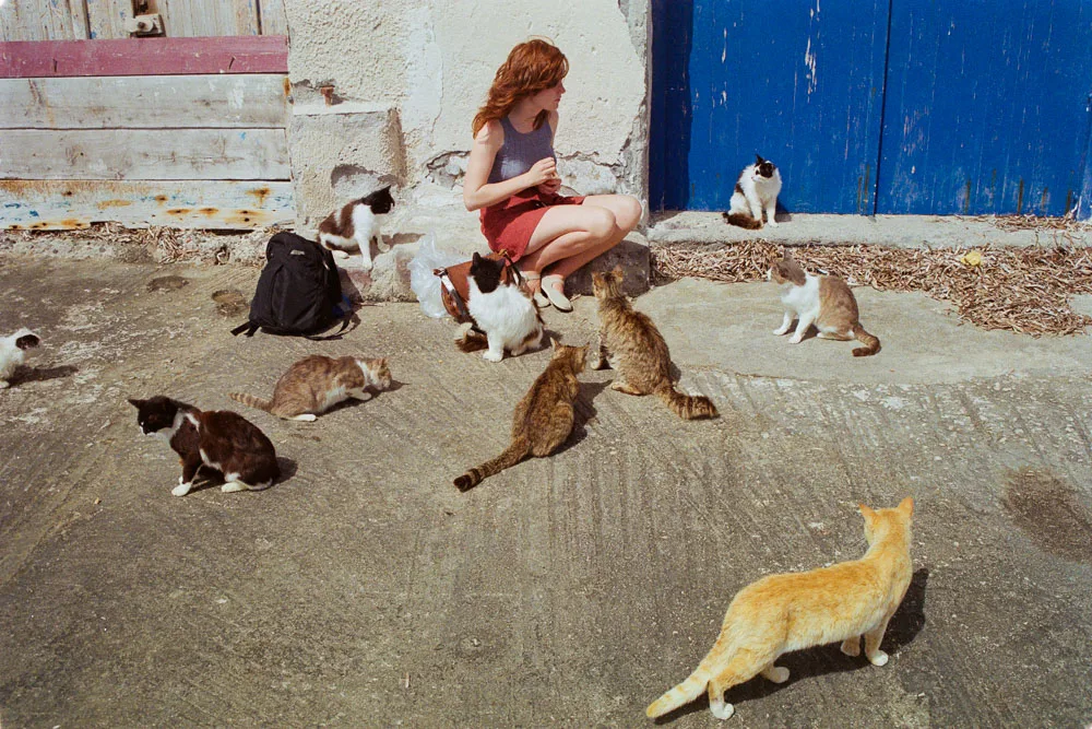 A photograph by Ali Bosworth in the selection Milos