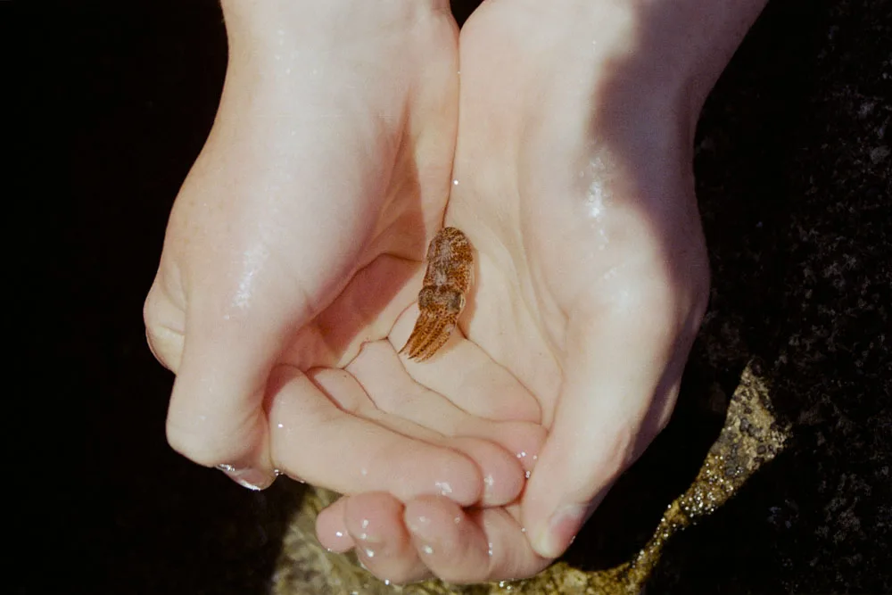 A photograph by Ali Bosworth in the selection Milos