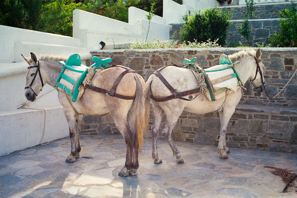 A photograph by Ali Bosworth in the selection Serifos
