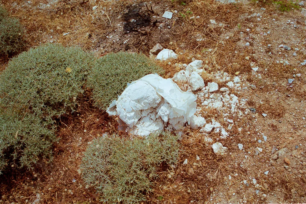 A photograph by Ali Bosworth in the selection Bagrocks