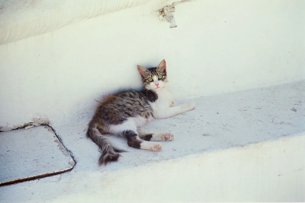 A photograph by Ali Bosworth in the selection Serifos