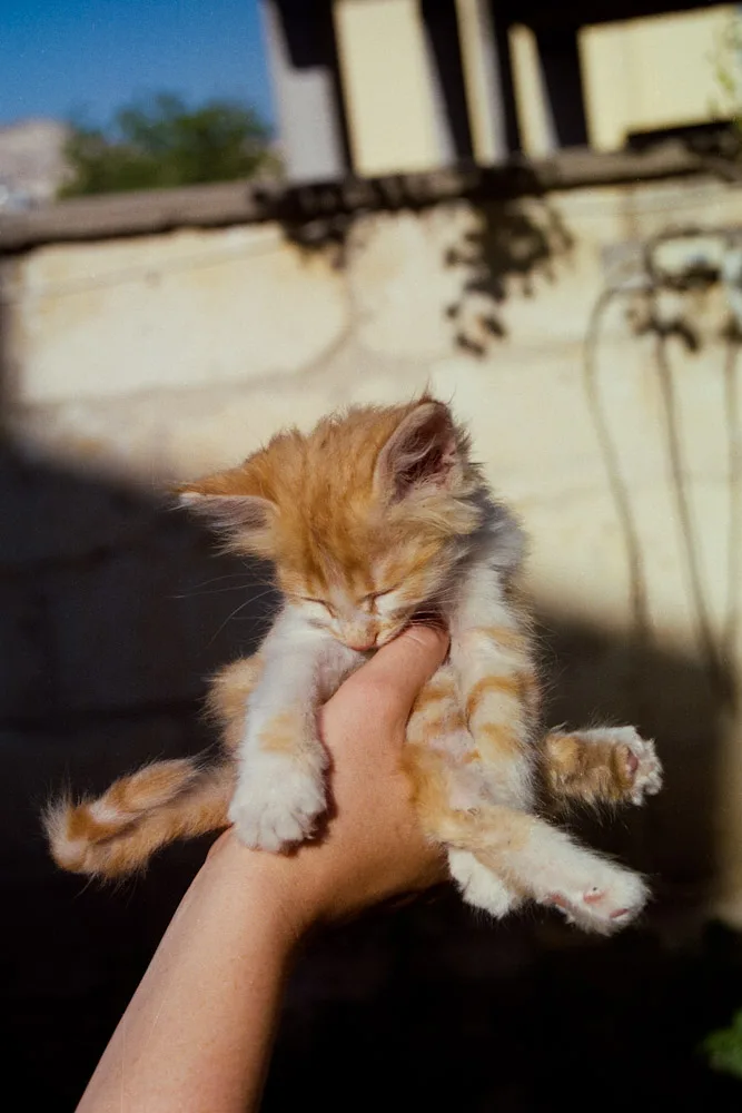 A photograph by Ali Bosworth in the selection Cappadocia
