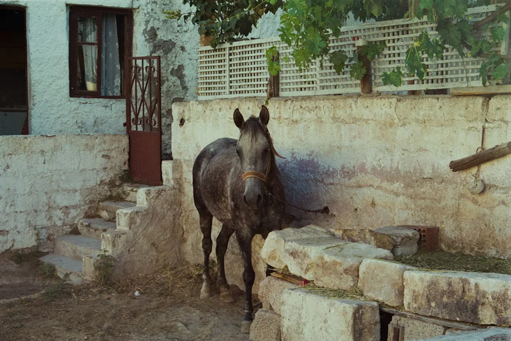 A photograph by Ali Bosworth in the selection Cappadocia