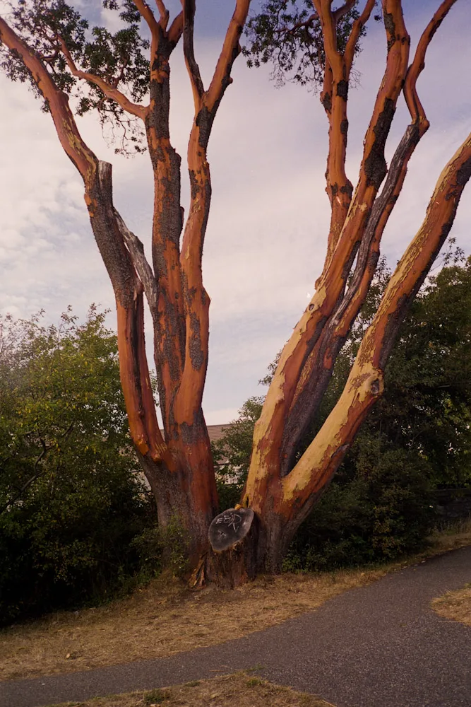 A photograph by Ali Bosworth in the selection Fall 2008