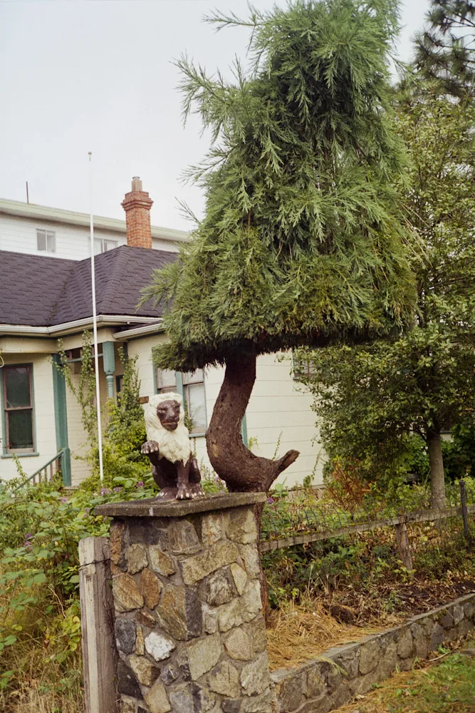 A photograph by Ali Bosworth in the selection Fall 2008