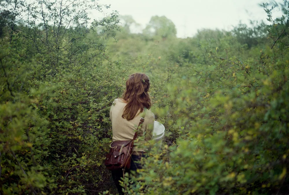 A photograph by Ali Bosworth in the selection Fall 2008