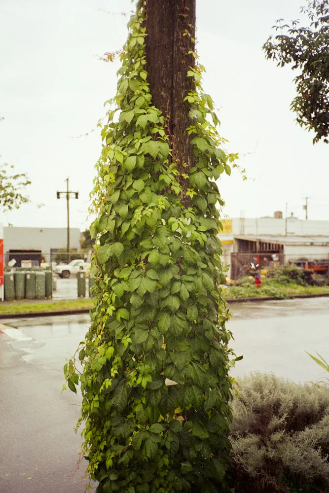 A photograph by Ali Bosworth in the selection Fall 2008