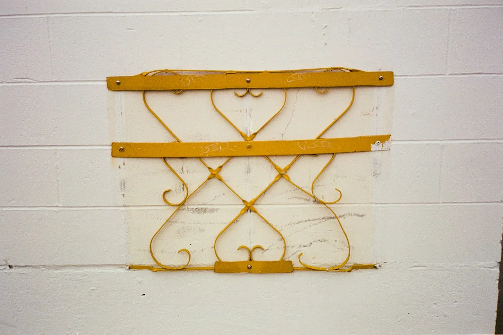 A photograph by Ali Bosworth in the selection Fall 2008