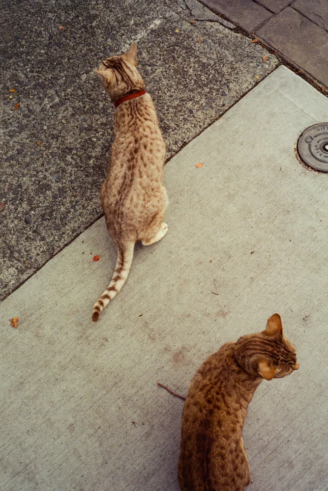 A photograph by Ali Bosworth in the selection Fall 2008
