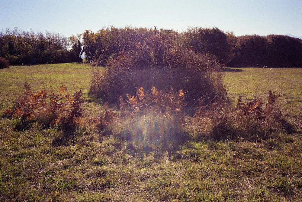 A photograph by Ali Bosworth in the selection Fall 2008