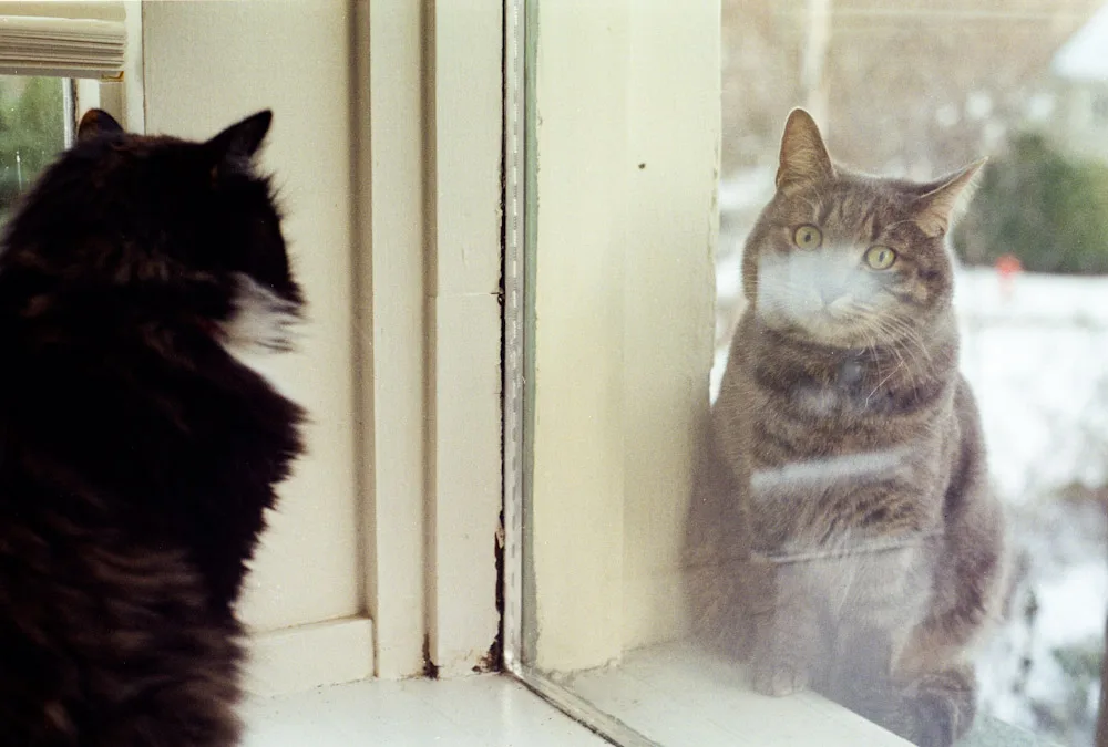 A photograph by Ali Bosworth in the selection Fall 2008