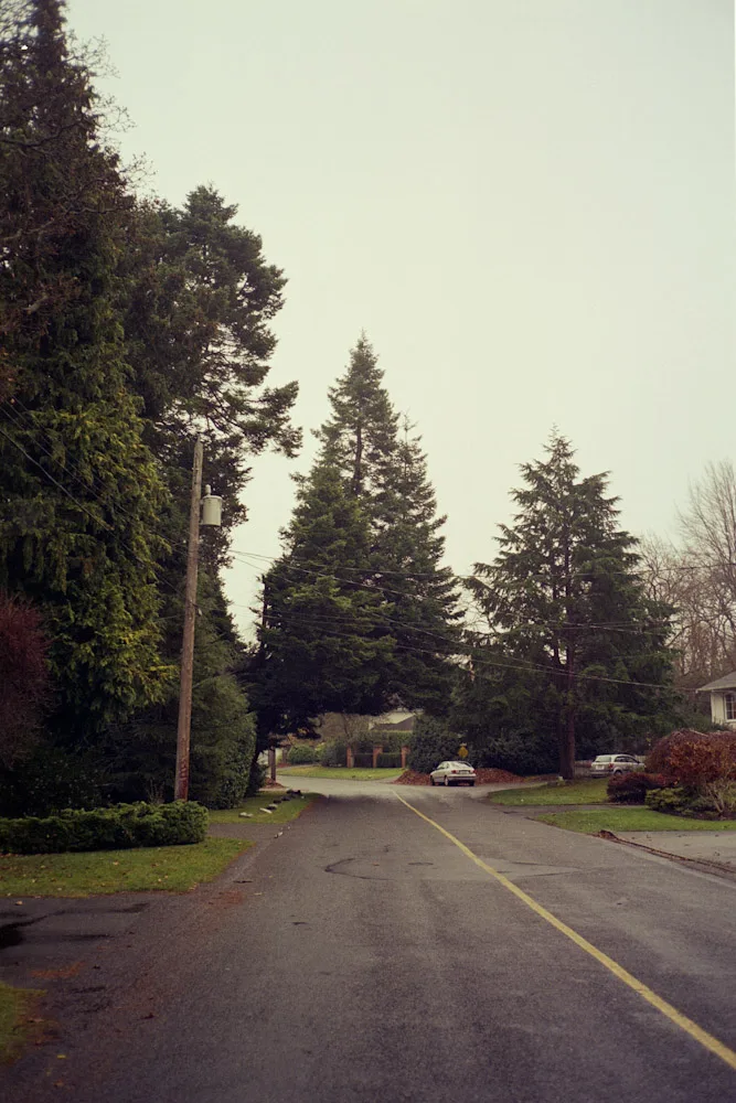 A photograph by Ali Bosworth in the selection Fall 2008