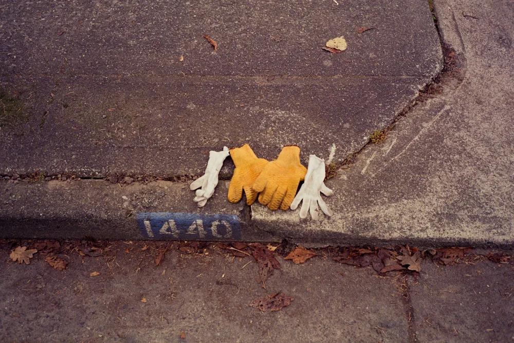 A photograph by Ali Bosworth in the selection Fall 2008