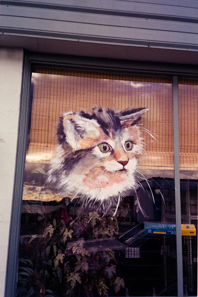 A photograph by Ali Bosworth in the selection Winter 2009