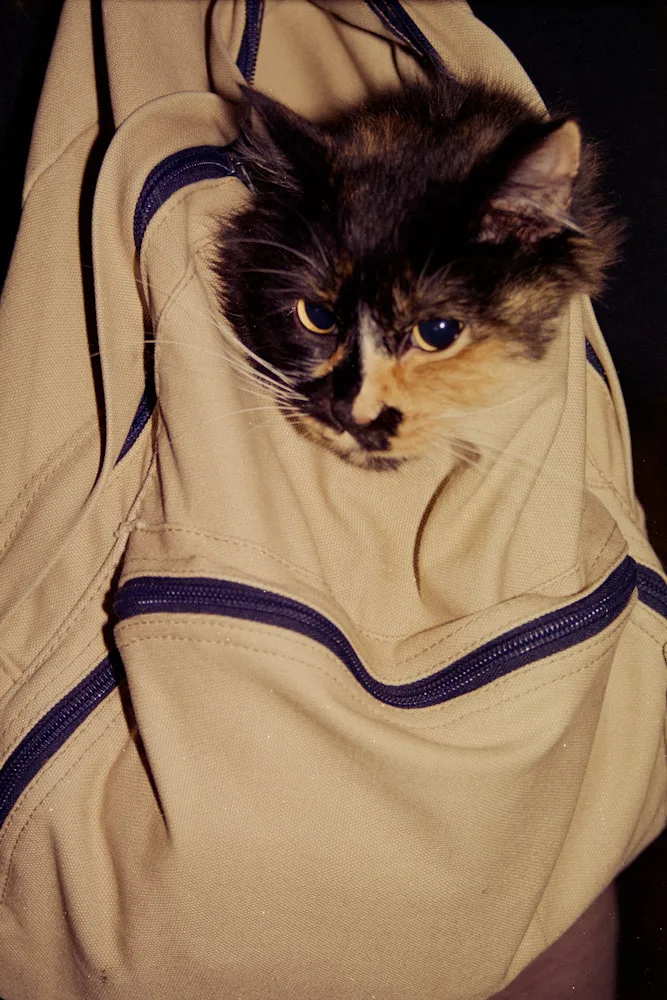 A photograph by Ali Bosworth in the selection Winter 2009