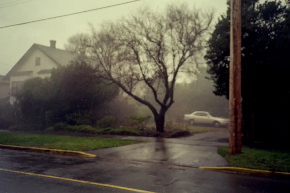 A photograph by Ali Bosworth in the selection Winter 2009