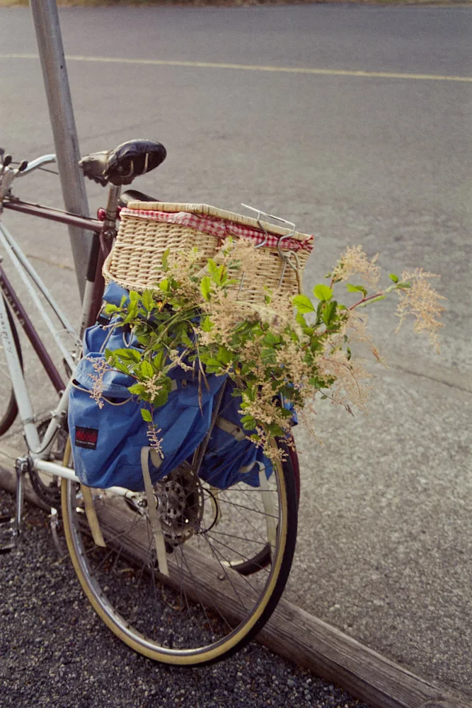 A photograph by Ali Bosworth in the selection Summer 2009