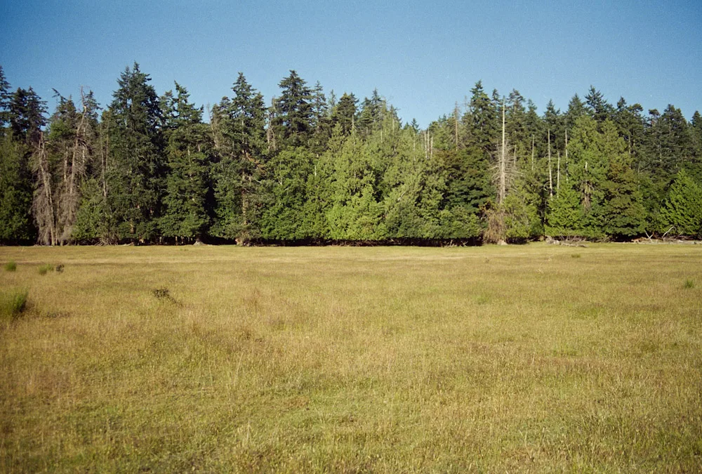 A photograph by Ali Bosworth in the selection Summer 2009