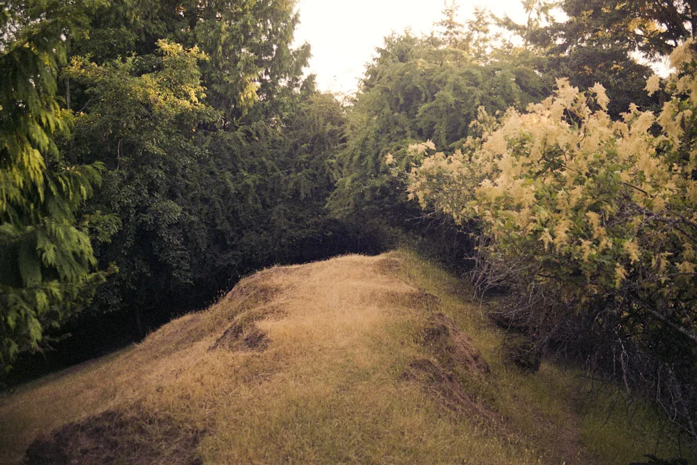 A photograph by Ali Bosworth in the selection Summer 2009