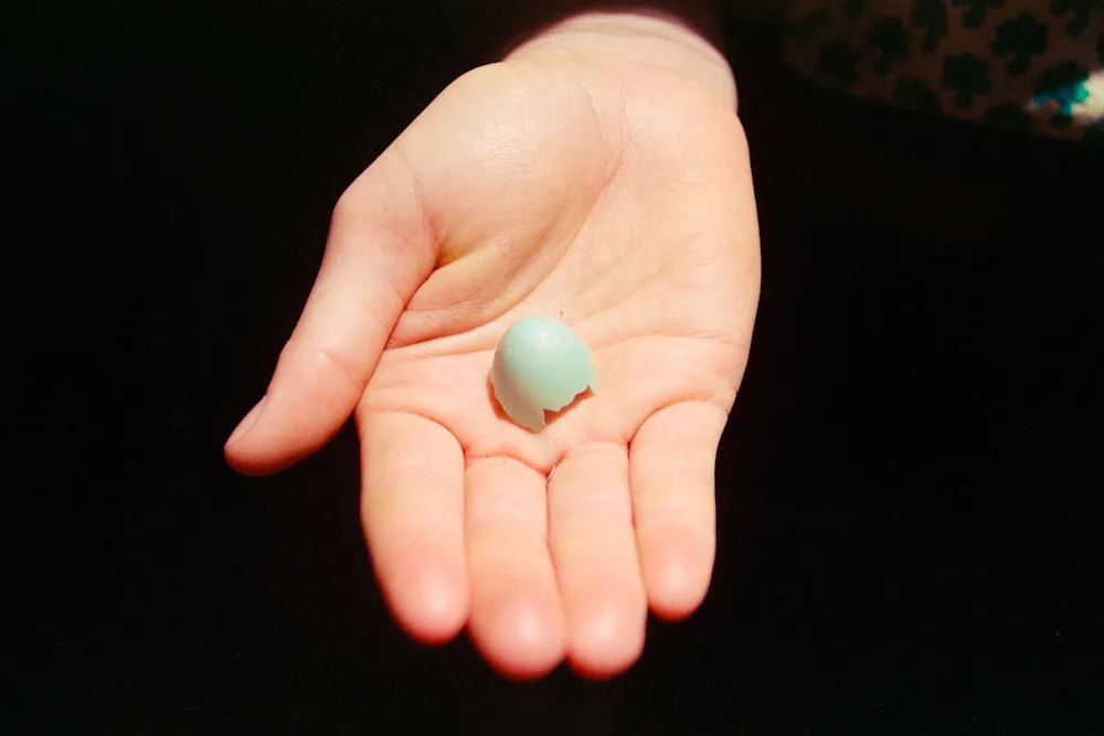 A photograph by Ali Bosworth in the selection Summer 2009