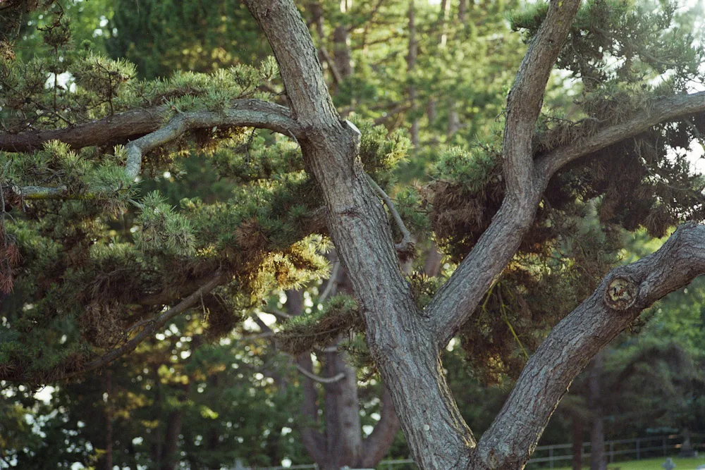 A photograph by Ali Bosworth in the selection Fall 2009