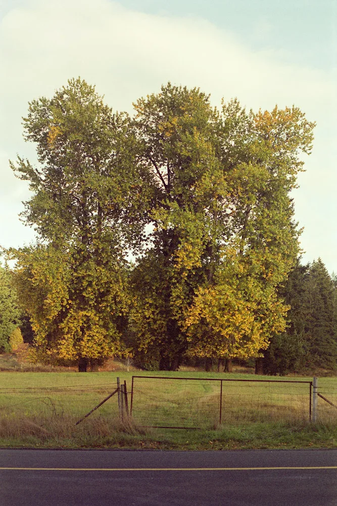 A photograph by Ali Bosworth in the selection Fall 2009