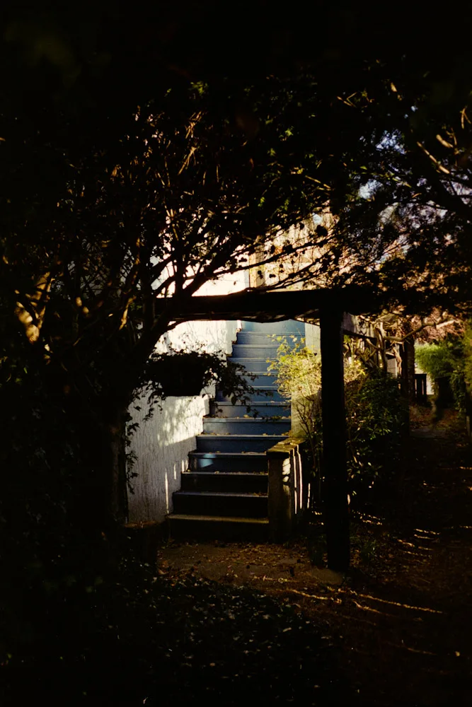 A photograph by Ali Bosworth in the selection Fall 2009