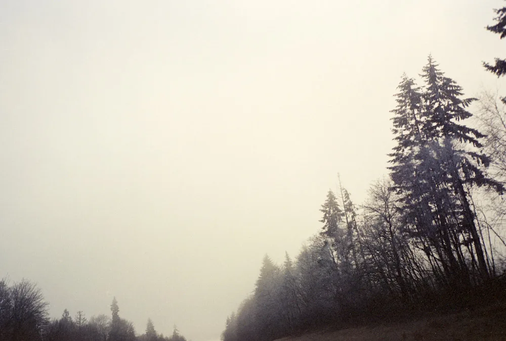 A photograph by Ali Bosworth in the selection Coast 2009