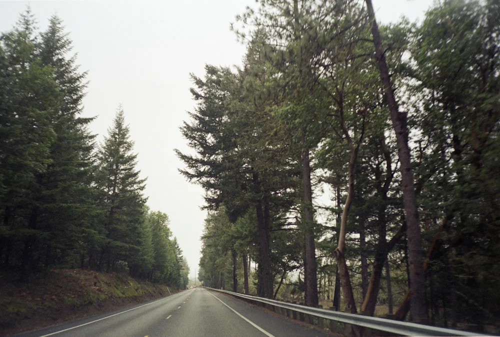 A photograph by Ali Bosworth in the selection Coast 2009