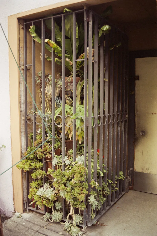 A photograph by Ali Bosworth in the selection Coast 2009