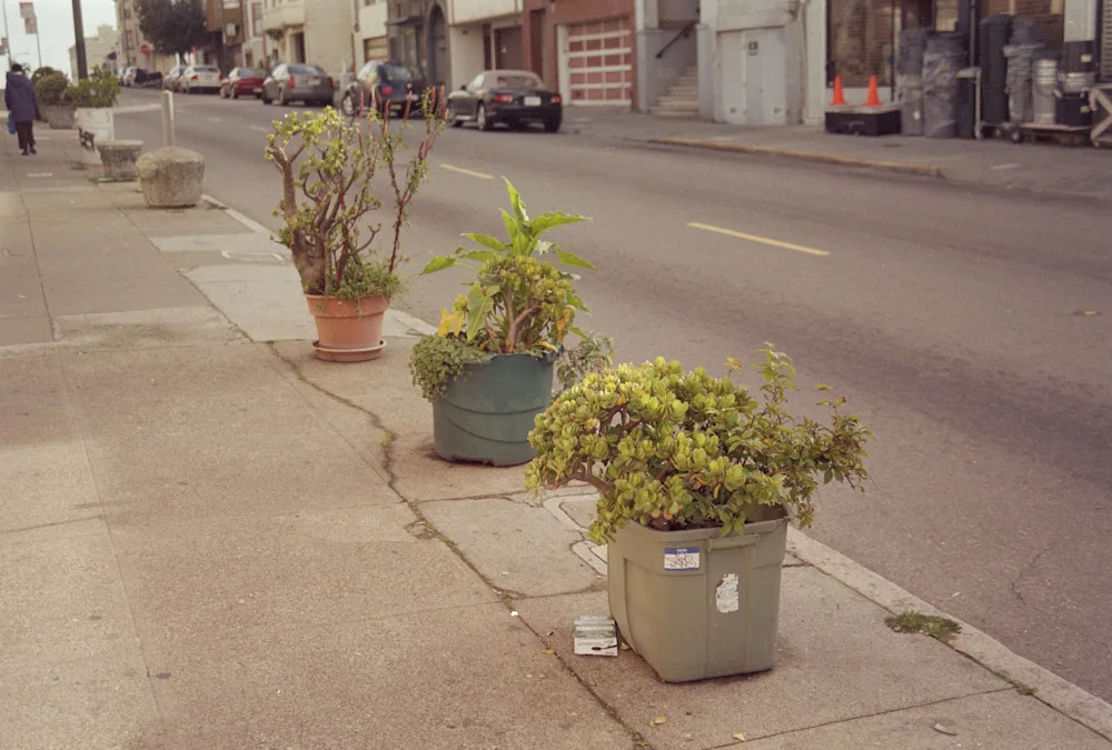 A photograph by Ali Bosworth in the selection Coast 2009