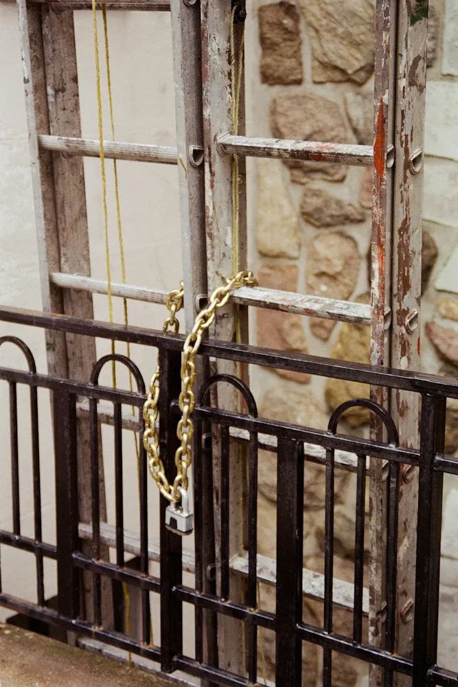 A photograph by Ali Bosworth in the selection Montreal