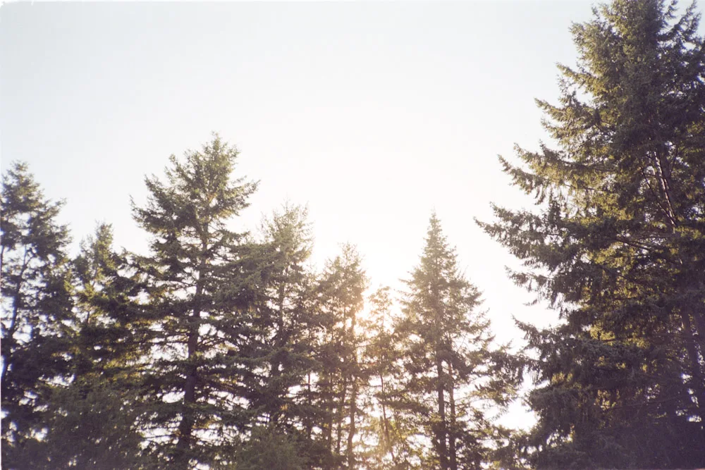 A photograph by Ali Bosworth in the selection Fall 2010