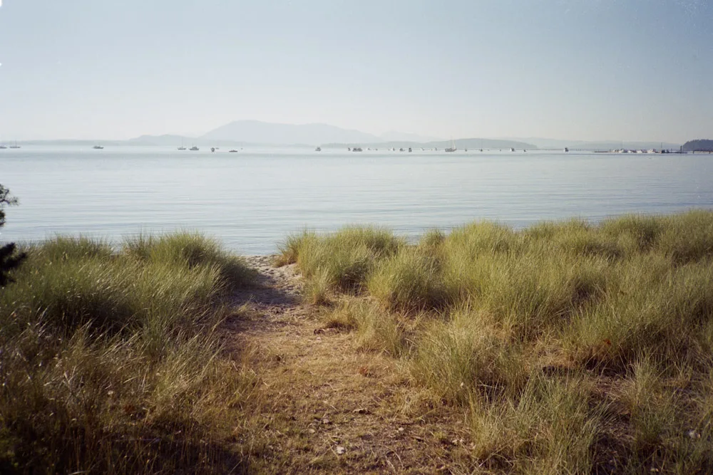 A photograph by Ali Bosworth in the selection Fall 2010