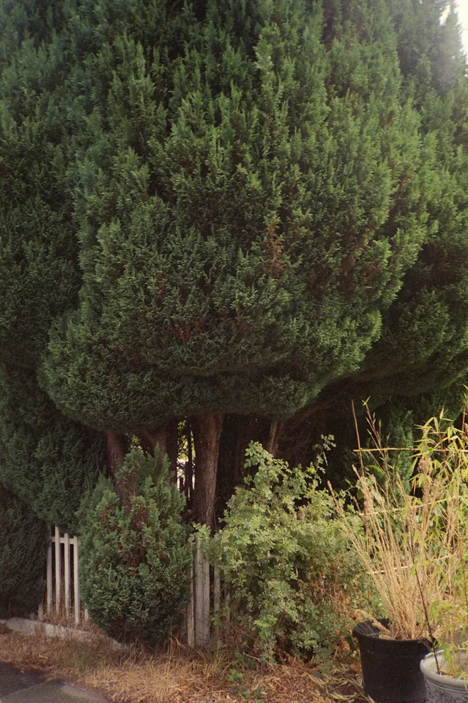 A photograph by Ali Bosworth in the selection Fall 2010