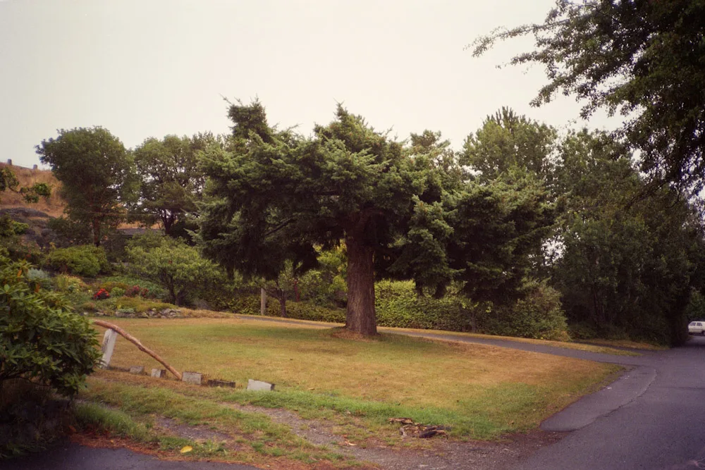 A photograph by Ali Bosworth in the selection Fall 2010