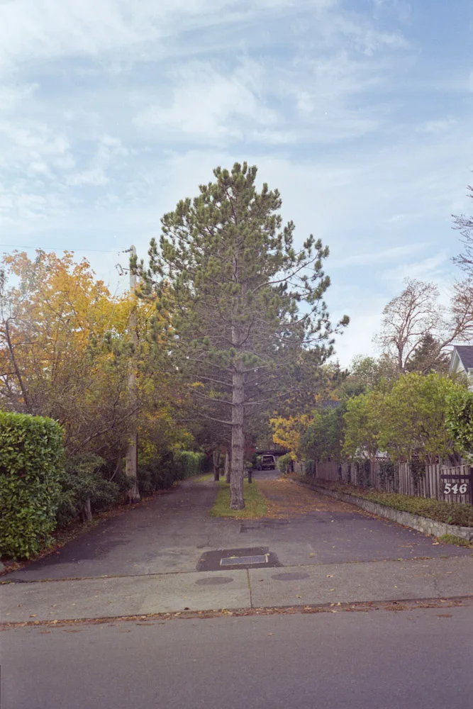 A photograph by Ali Bosworth in the selection Fall 2010