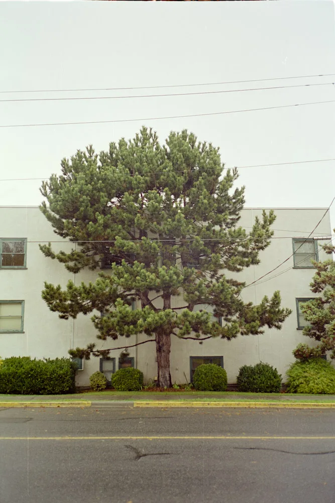 A photograph by Ali Bosworth in the selection Fall 2010