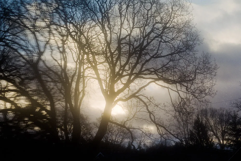 A photograph by Ali Bosworth in the selection Spring 2011