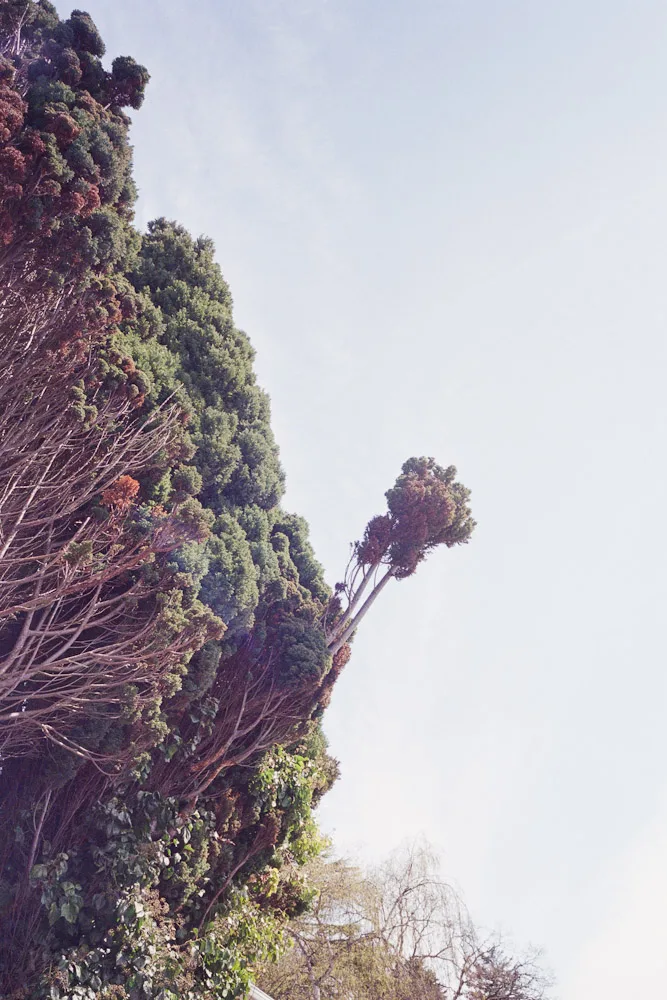 A photograph by Ali Bosworth in the selection Spring 2011