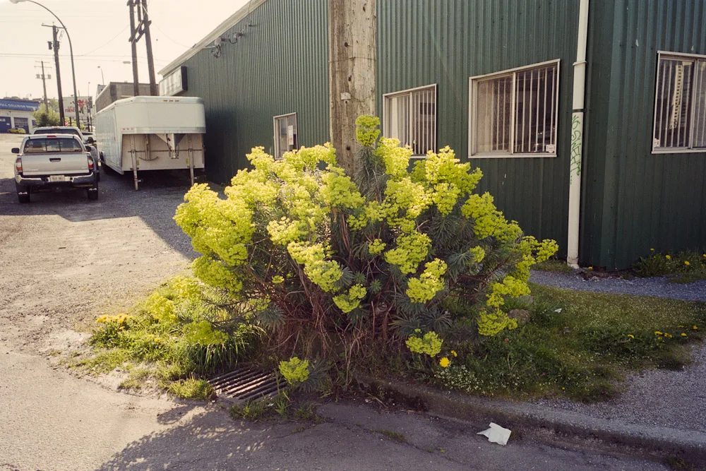 A photograph by Ali Bosworth in the selection Spring 2011