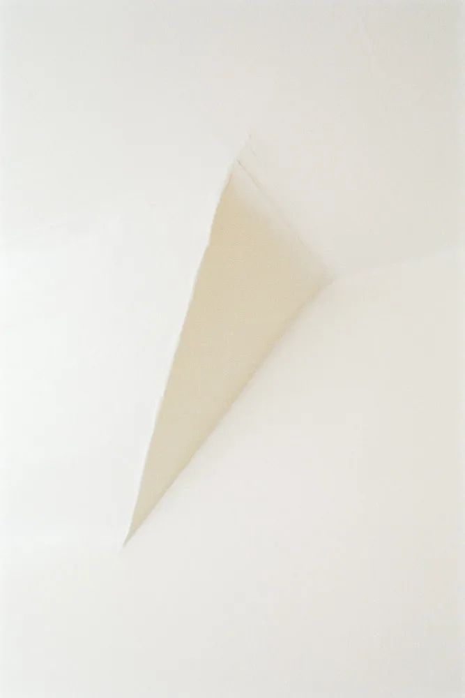 A photograph by Ali Bosworth in the selection Spring 2011