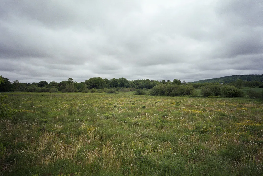 A photograph by Ali Bosworth in the selection NS/NB 2011