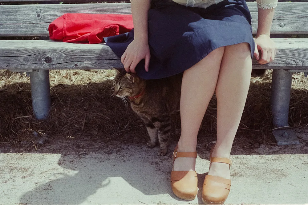 A photograph by Ali Bosworth in the selection NS/NB 2011