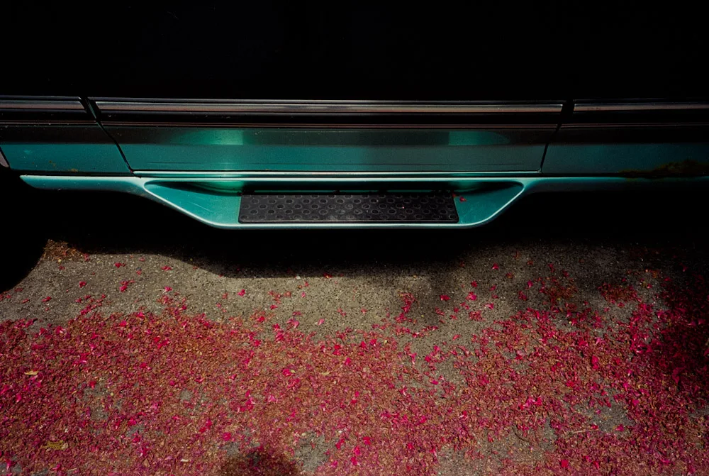 A photograph by Ali Bosworth in the selection Fall 2011