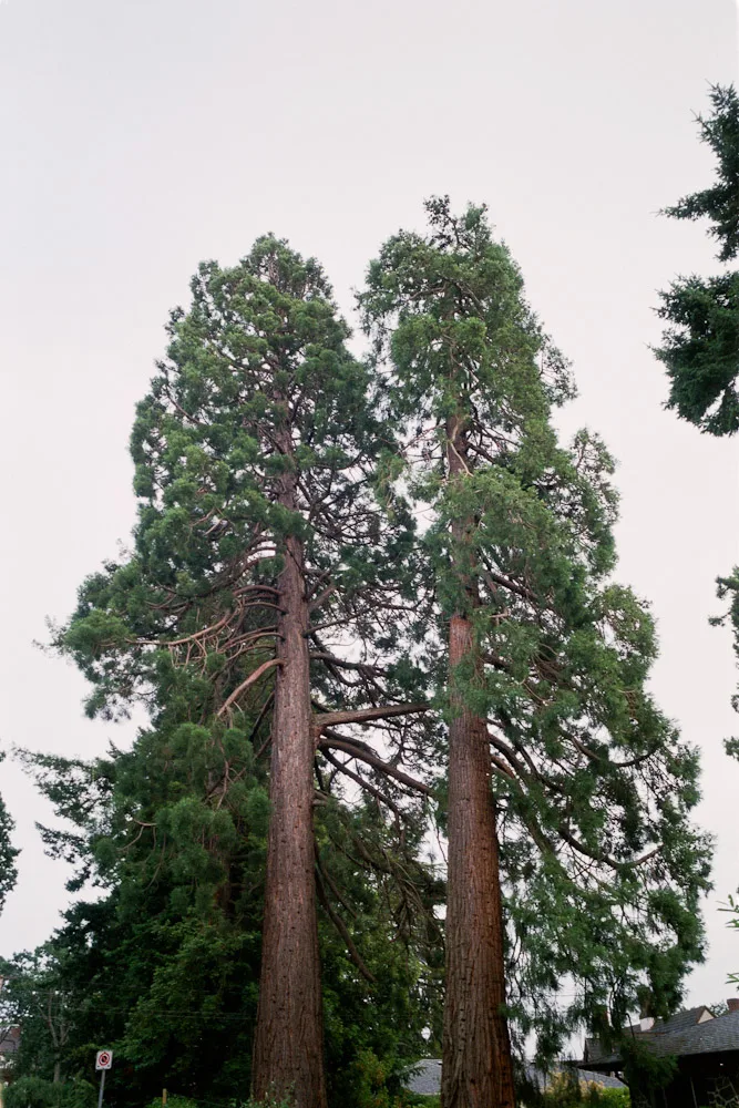 A photograph by Ali Bosworth in the selection Fall 2011