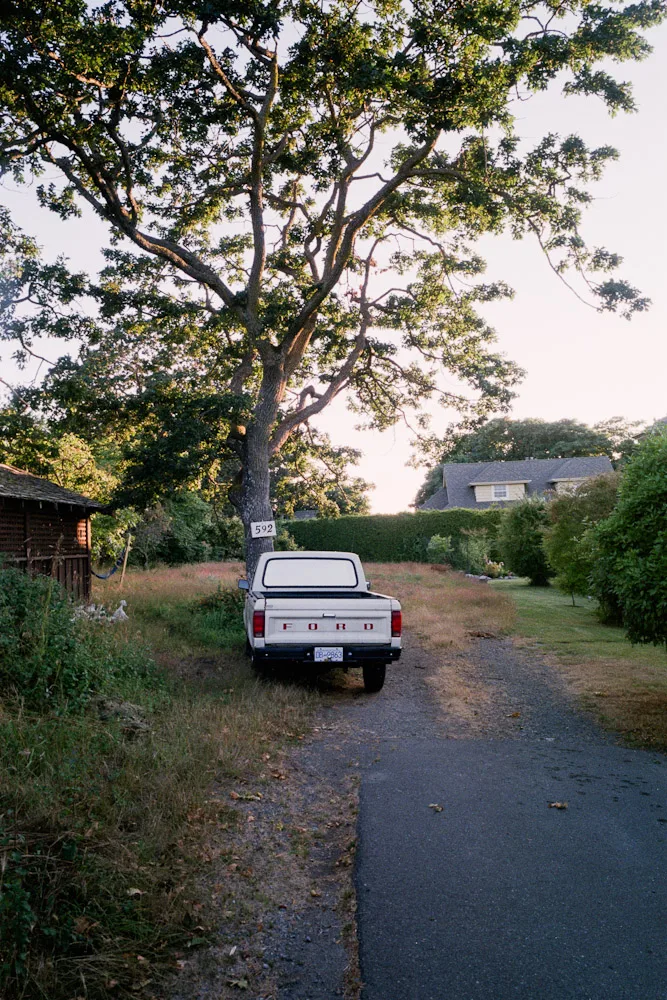 A photograph by Ali Bosworth in the selection Fall 2011